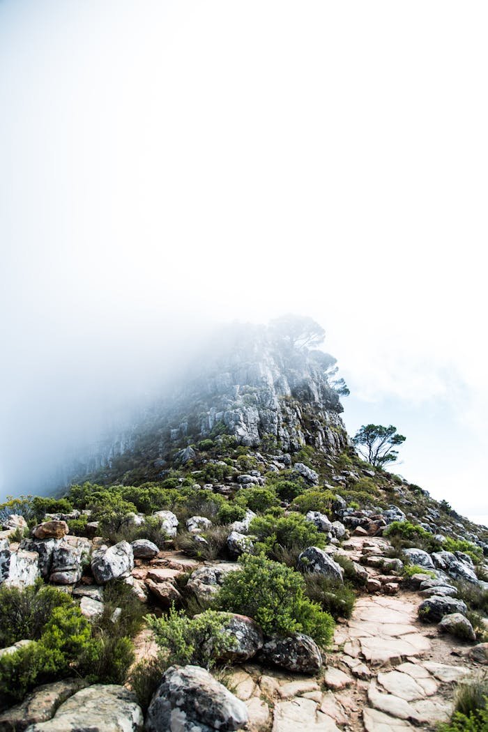 Foggy mountain terrain in Cape Town, South Africa, showcasing natural rocks and greenery.